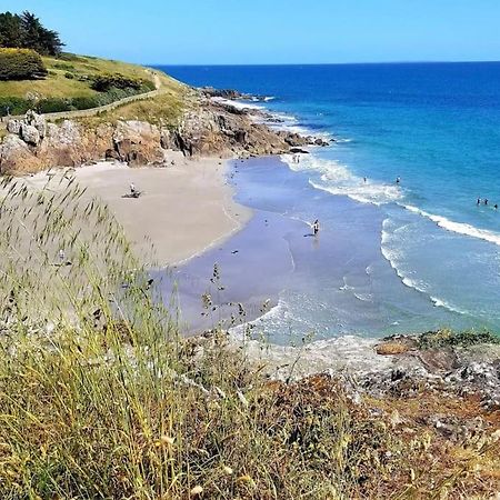Grande Maison Bretonne - 500M De L'Anse De Rospico Névez Eksteriør billede